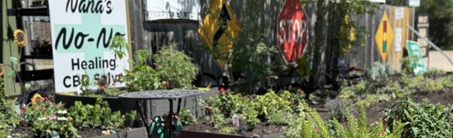 The Secret to a Thriving Garden: Love, Patience, and a Little Conversation