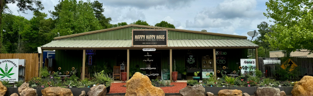 The Journey to Happy Hippy Haus: A Reflection on Our 6-Year Anniversary