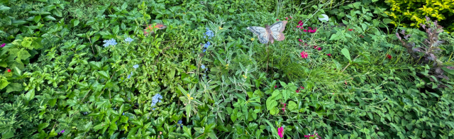 Supporting Those Undergoing Chemotherapy: Natural Relief at Happy Hippy Haus