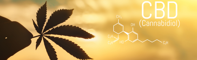 Healing Through the Ages: The History and Science Behind CBD