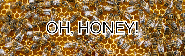 Why I Choose Raw Honey for Allergy Support