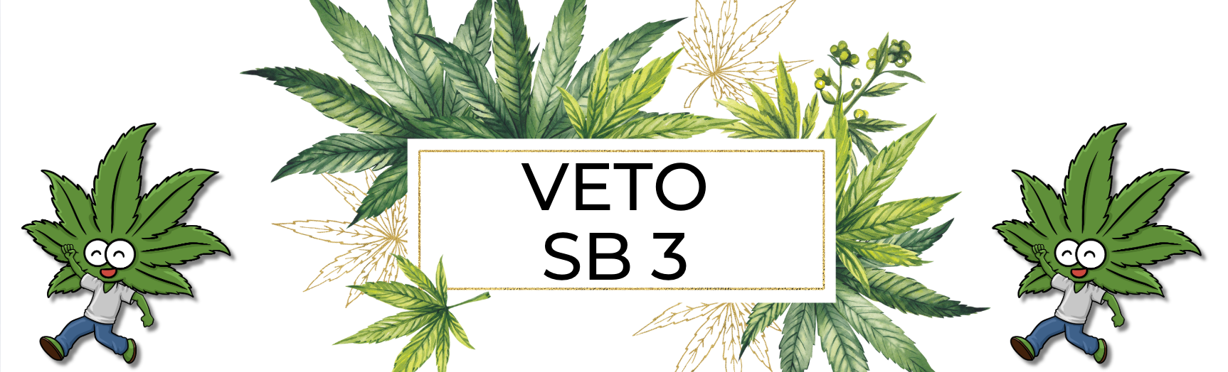 SB 3 Is Headed to the Governor’s Desk—Here’s How to Stop It