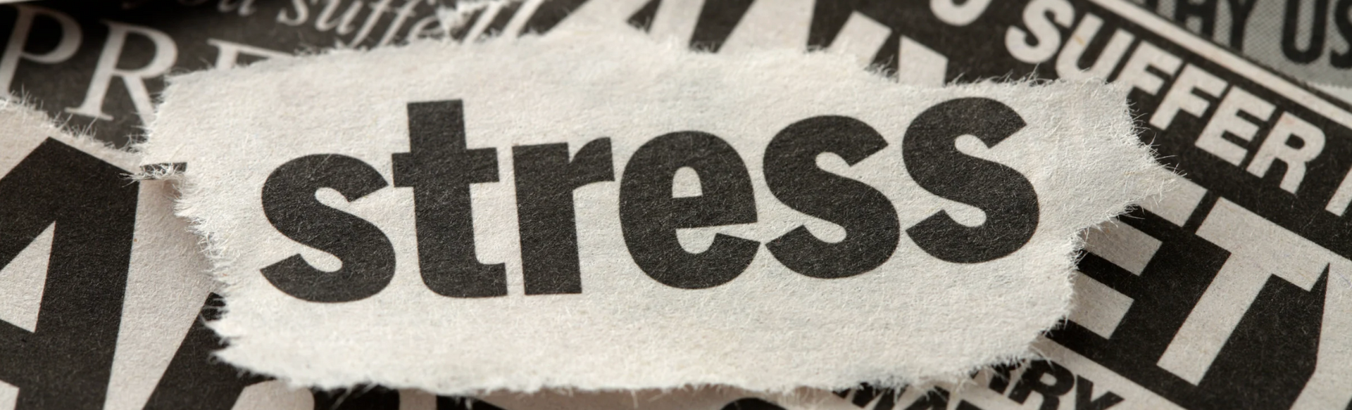 Finding Calm the Natural Way: How CBD Has Been Known to Help Reduce Stress