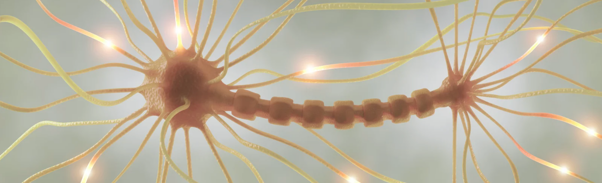 How Your Body Responds to Hemp and Why Dosage Matters