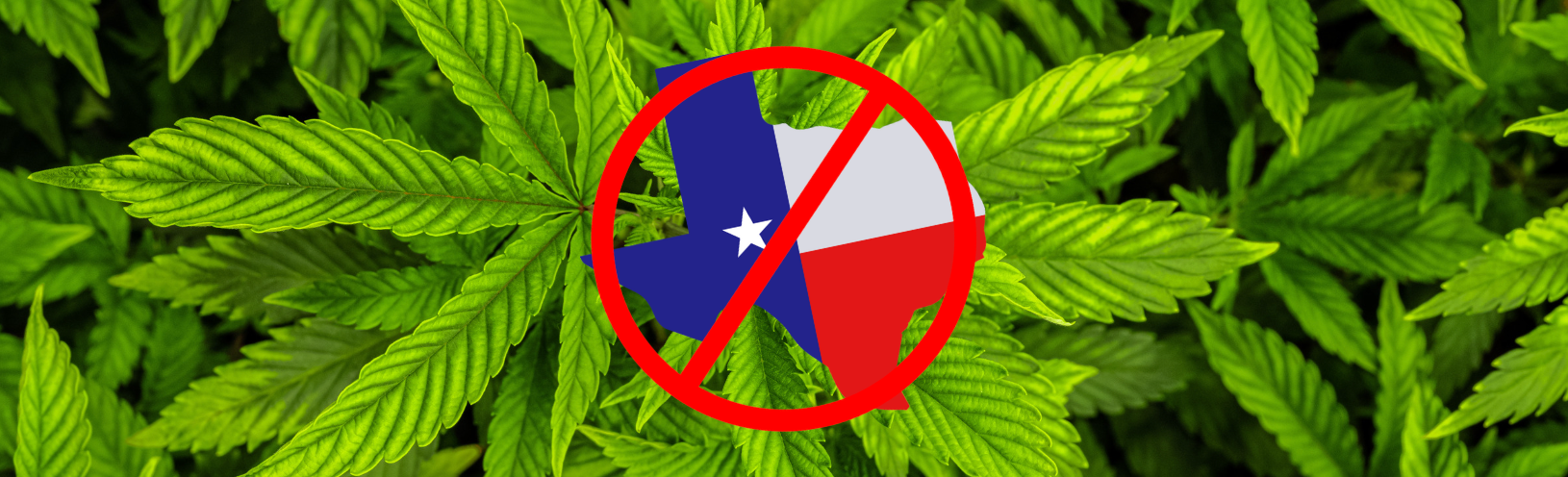 Texas Delta-8 Legal Update May 2026