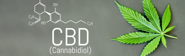 The Untapped Potential of Minor Cannabinoids in Medicine