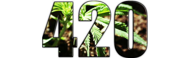 A Timeless Tradition: Exploring the Deep Roots of 420 in Cannabis Culture