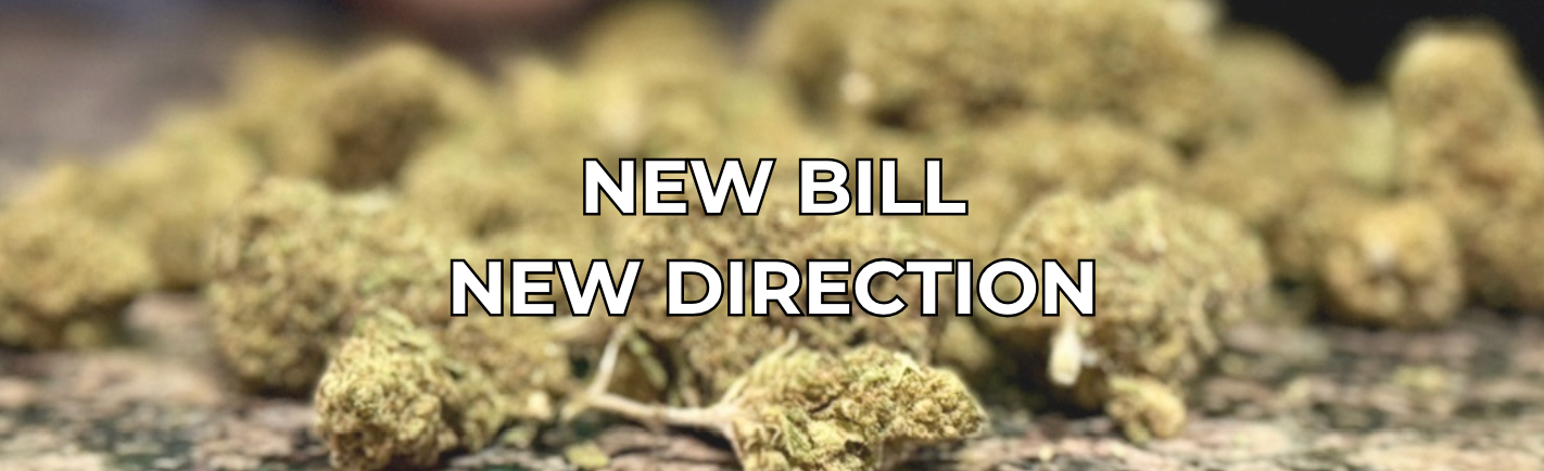 What Federal and Texas Policy Changes Mean for the Future of Cannabis