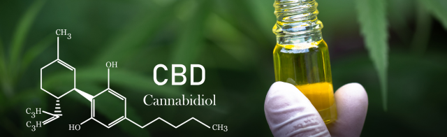 Light It Up: How Smoking CBD Can Quickly Boost Your Mood and Wellness