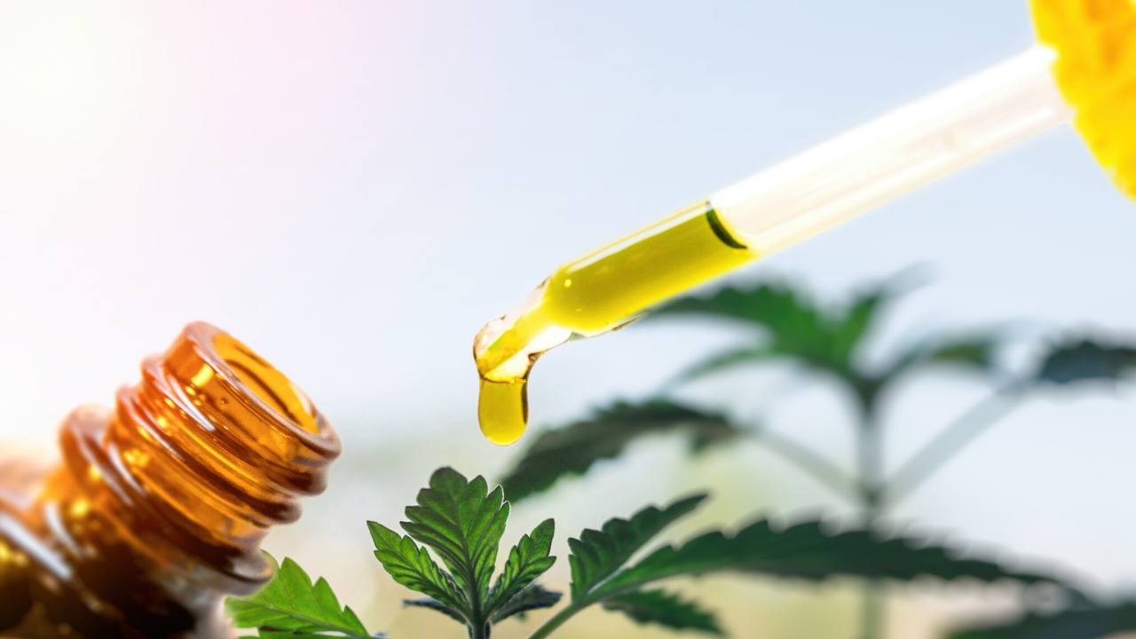 How to Select High Quality Hemp CBD Products: 5 Things You Need to Know